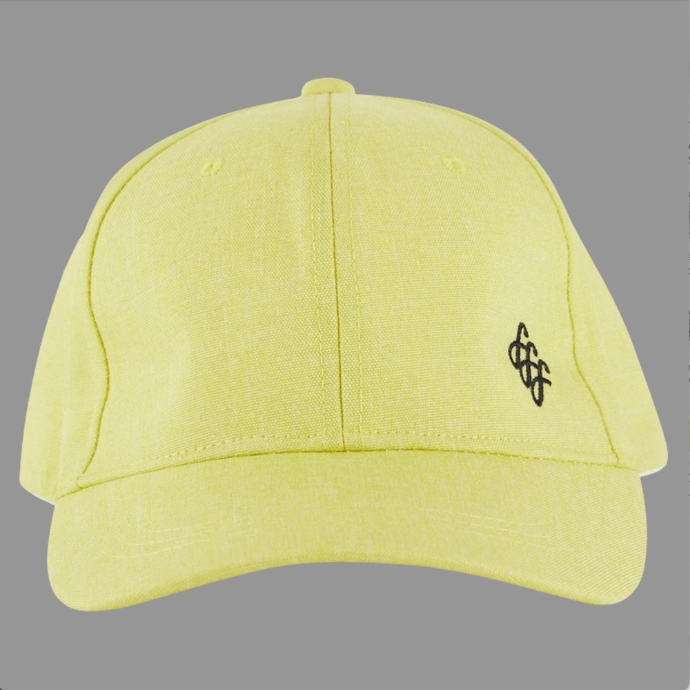 NWOT FabFitFun Baseball Hat